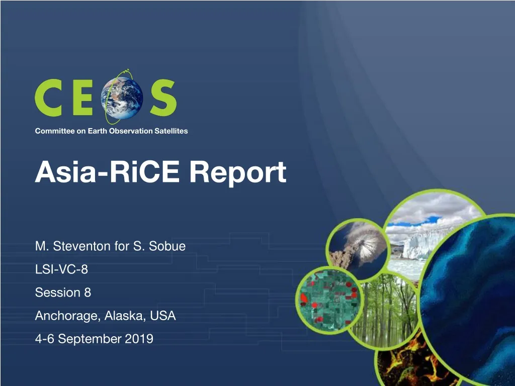 asia rice report