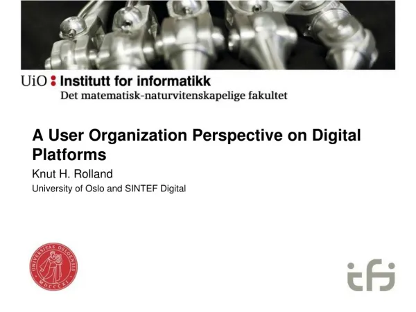 A User Organization Perspective on Digital Platforms Knut H. Rolland