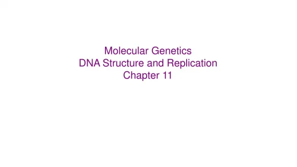 Molecular Genetics DNA Structure and Replication Chapter 11