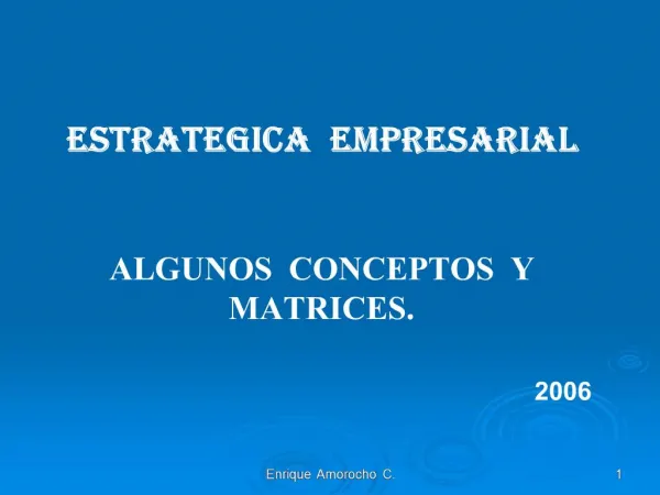 ESTRATEGICA EMPRESARIAL ALGUNOS CONCEPTOS Y MATRICES. 2006
