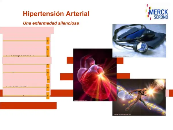 Hipertensi n Arterial Una enfermedad silenciosa