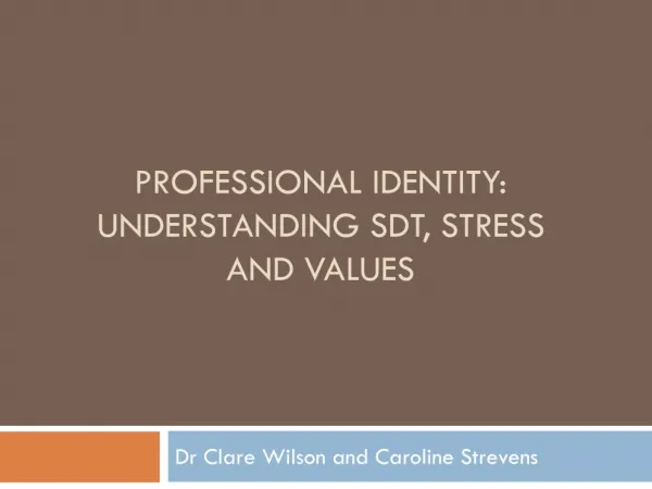 Professional Identity: Understanding SDT, Stress and Values