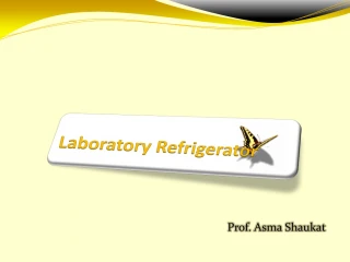 Laboratory Refrigerator - slide 1