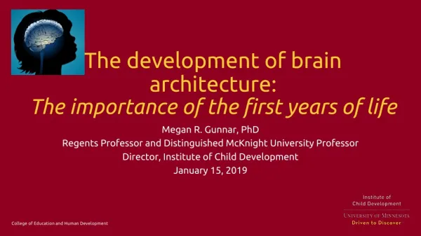 The development of brain architecture: The importance of the first years of life
