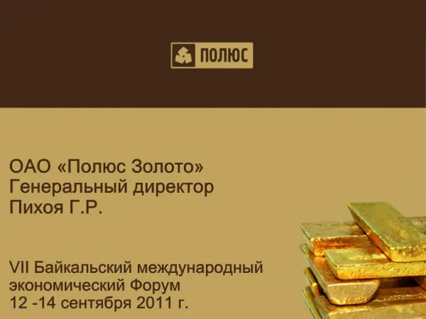 Polyus Gold Investor update May 2011