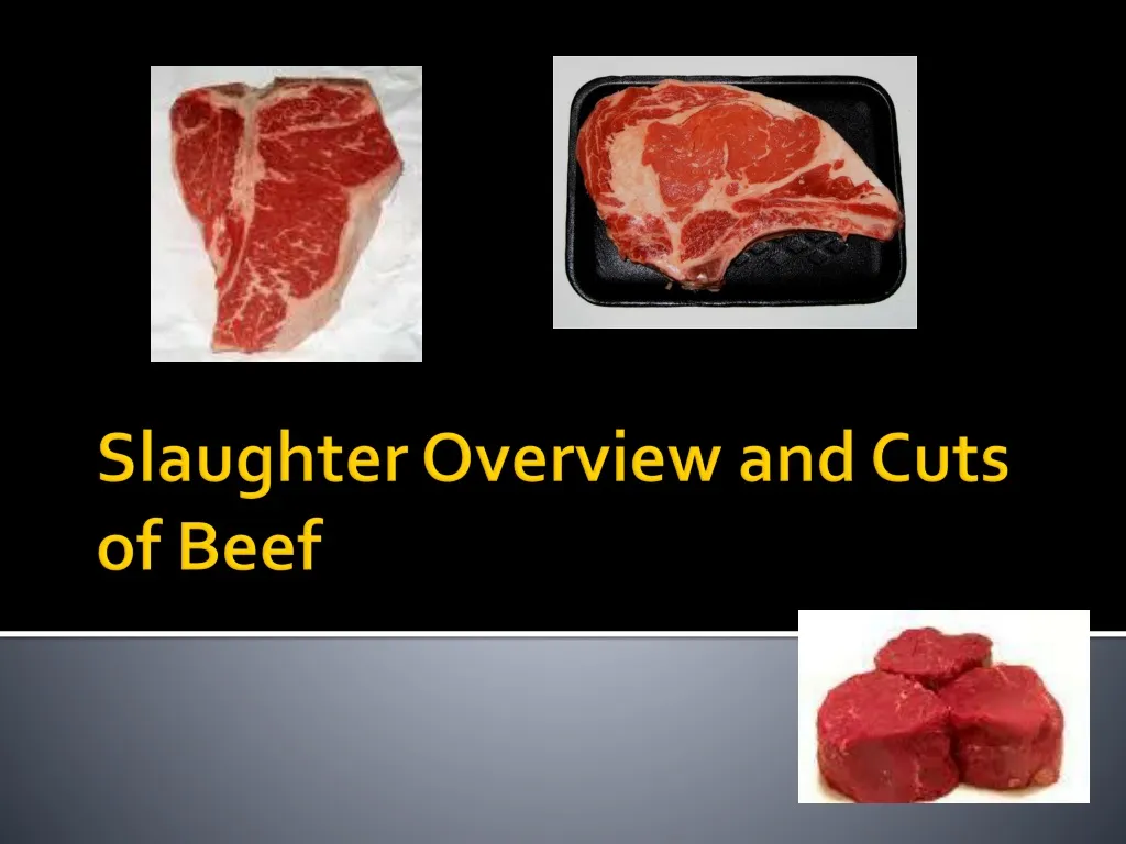 slaughter overview and cuts of beef