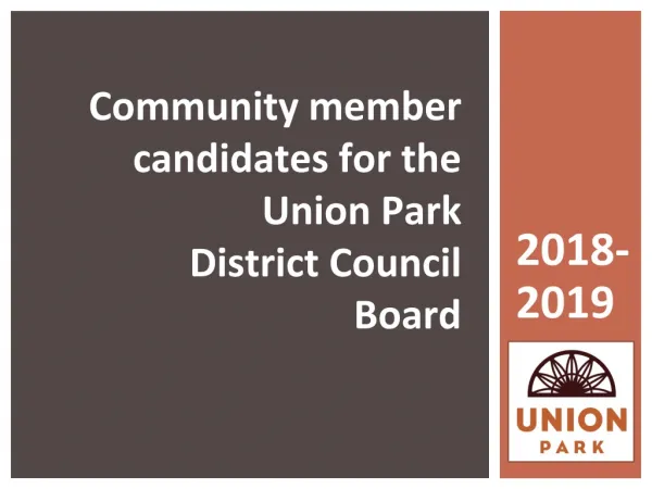 Community member candidates for the Union Park District Council Board