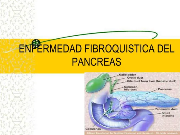 ENFERMEDAD FIBROQUISTICA DEL PANCREAS