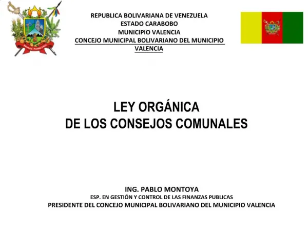 LEY ORG NICA DE LOS CONSEJOS COMUNALES
