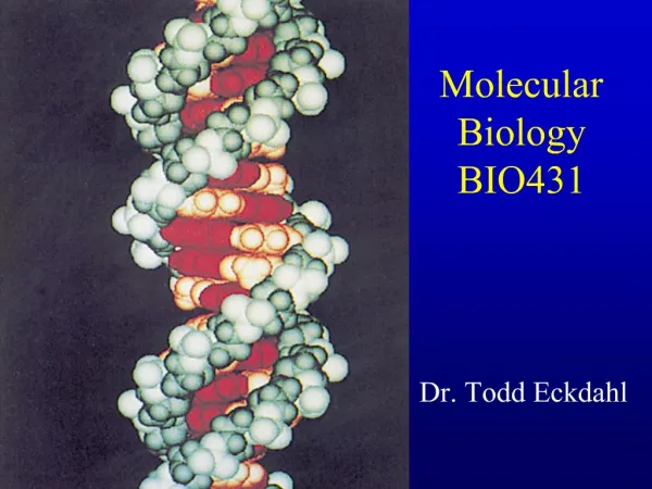 Molecular Biology BIO431