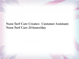 Noon Turf Care reviews - slide 1