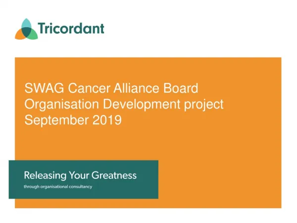 SWAG Cancer Alliance Board Organisation Development project September 2019
