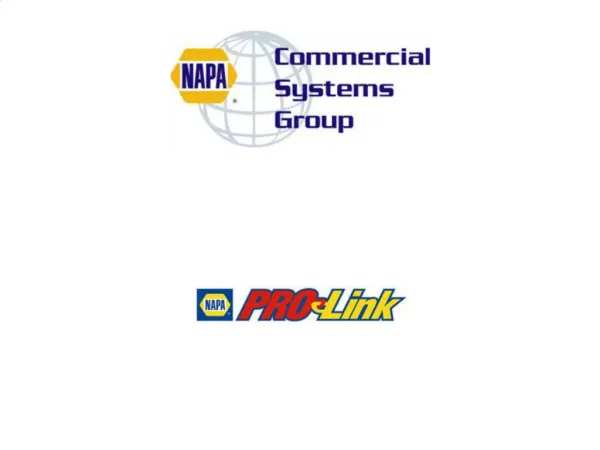 What is NAPA PROLink