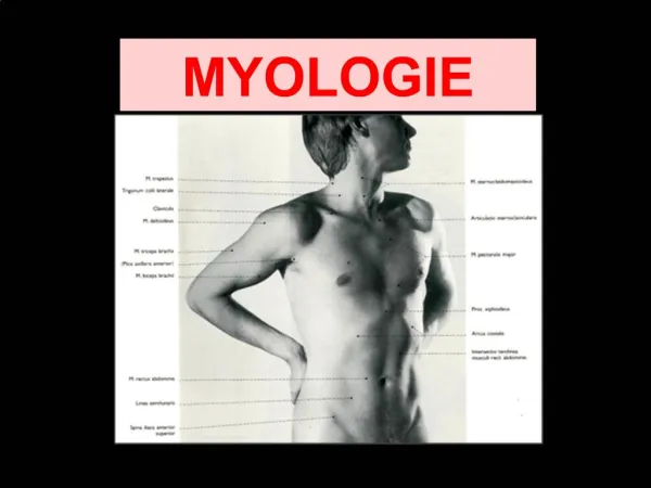 MYOLOGIE