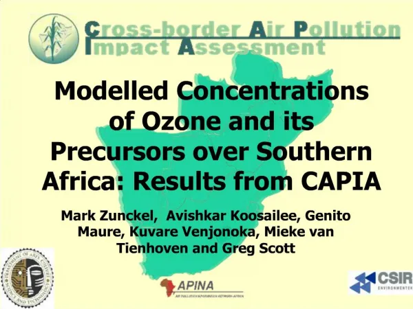 Modelled Concentrations of Ozone and its Precursors over Southern Africa: Results from CAPIA