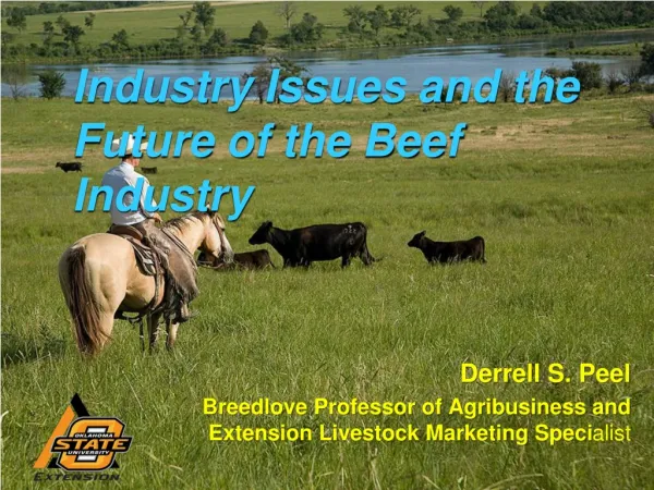 Industry Issues and the Future of the Beef Industry