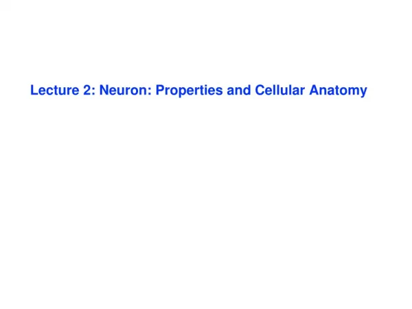Lecture 2: Neuron: Properties and Cellular Anatomy