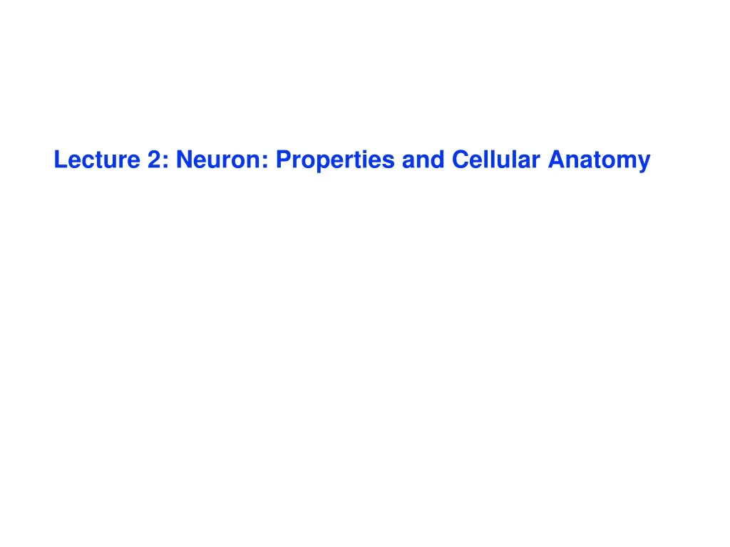 lecture 2 neuron properties and cellular anatomy