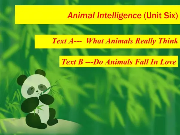 Animal Intelligence Unit Six