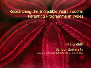 Researching the Incredible Years Toddler Parenting Programme in Wales - slide 1