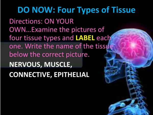DO NOW: Four Types of Tissue