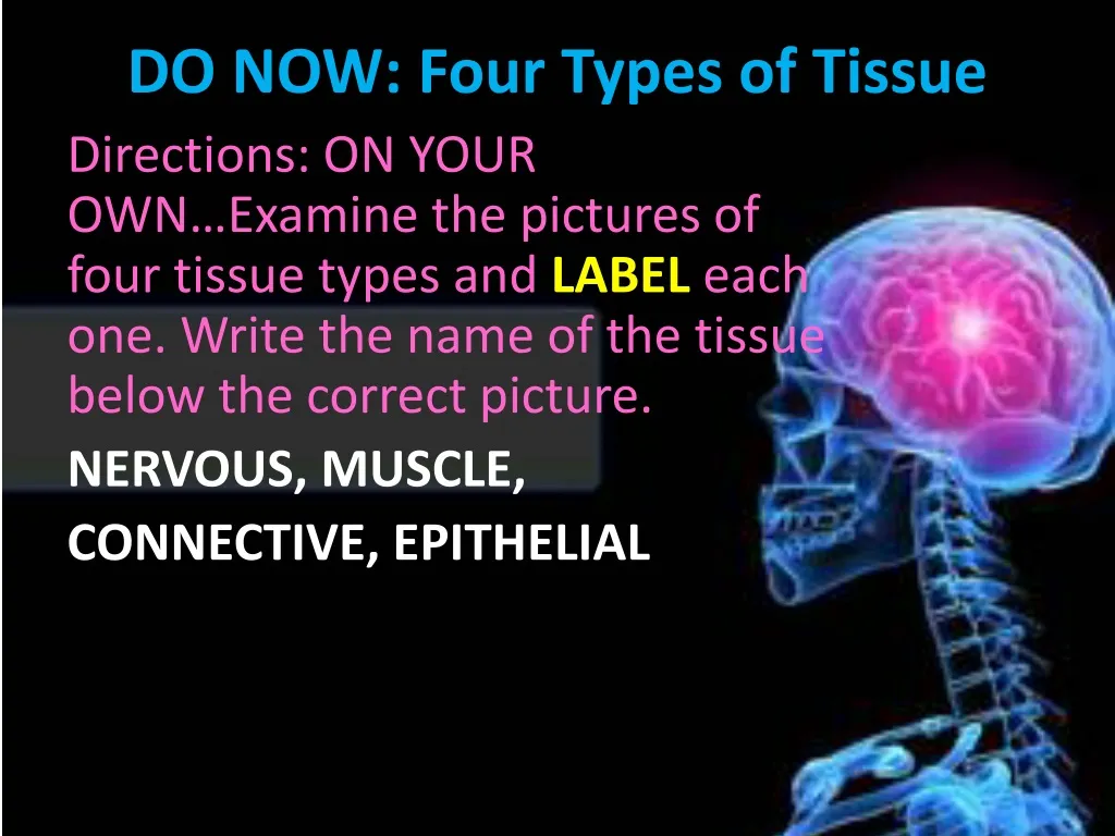 do now four types of tissue