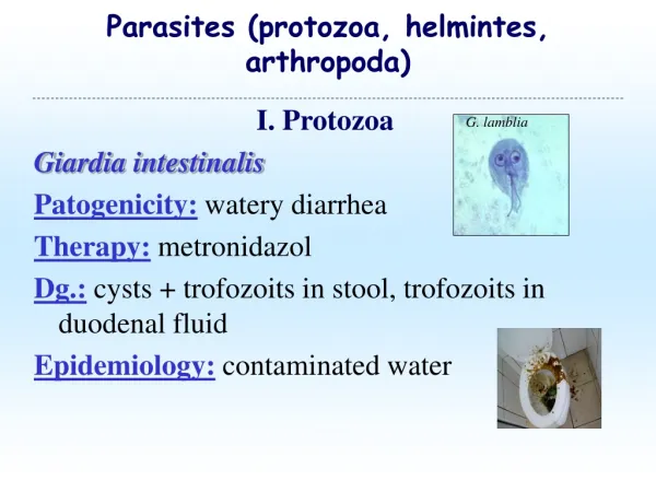 Parasites (protozoa, helmintes , arthropoda)