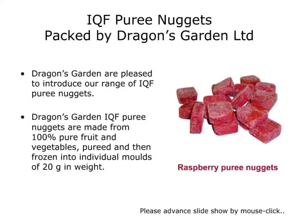 IQF Puree Nuggets Packed by Dragon s Garden Ltd