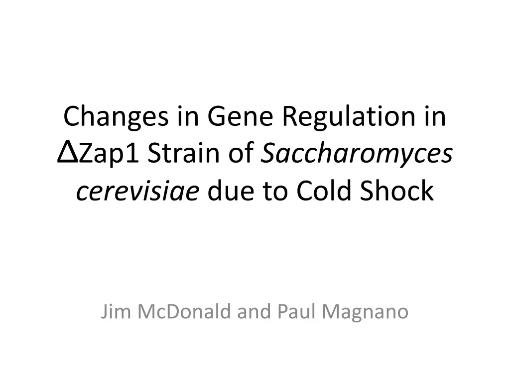 changes in gene regulation in zap1 strain of s accharomyces cerevisiae due to cold shock