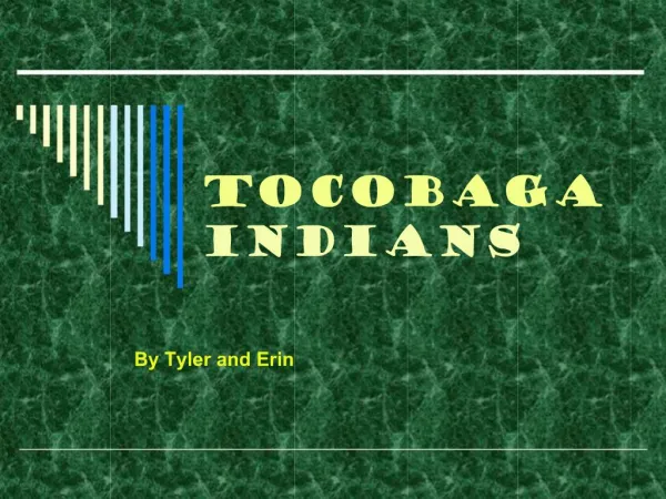 Tocobaga Indians