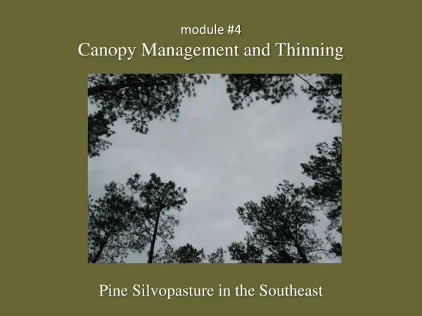 module #4 Canopy Management and Thinning