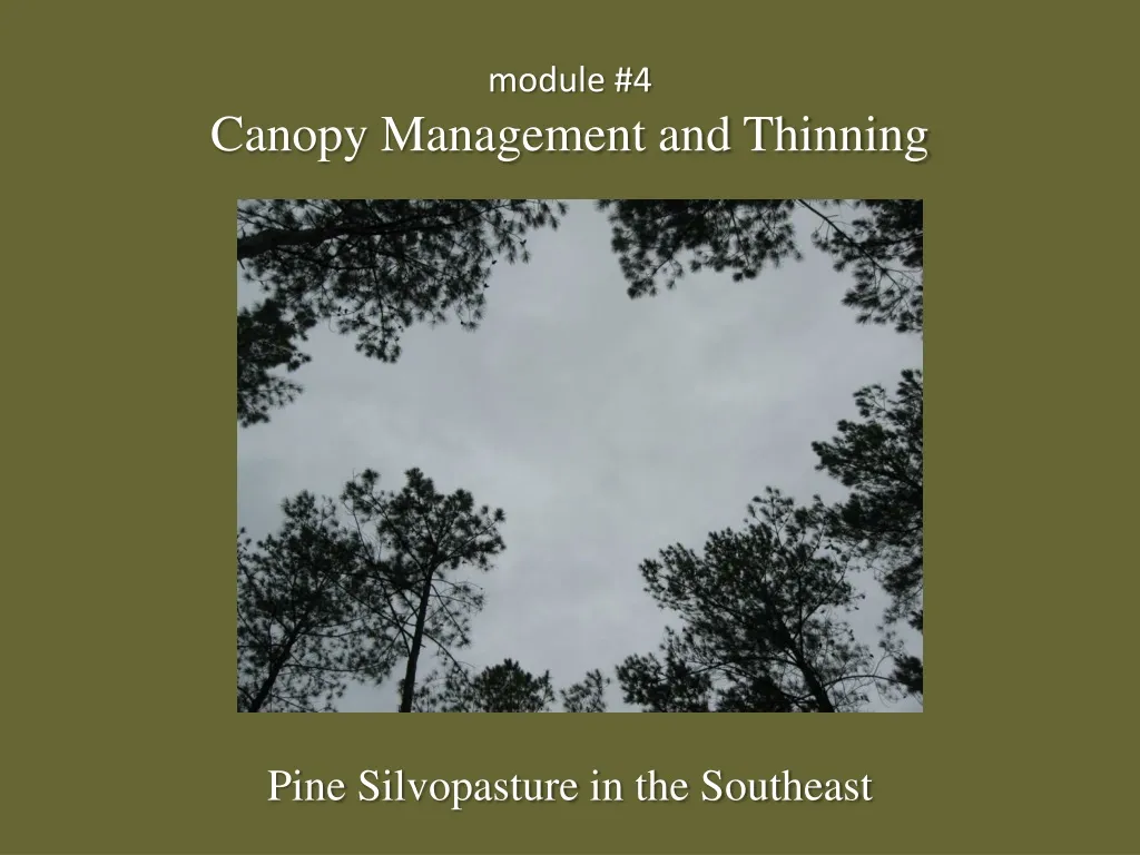 module 4 canopy management and thinning