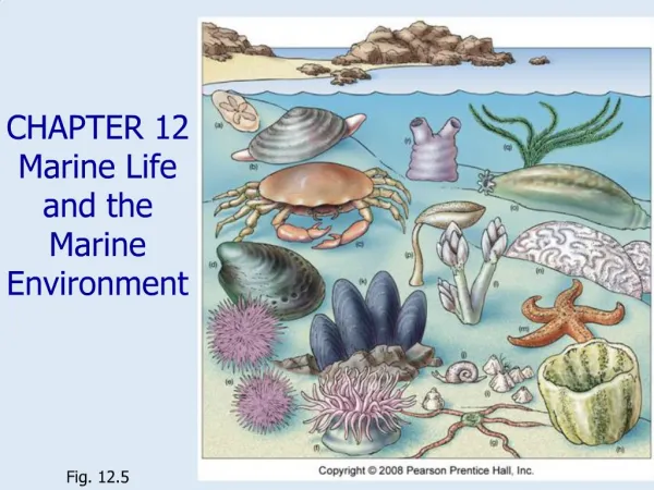 CHAPTER 12 Marine Life and the Marine Environment