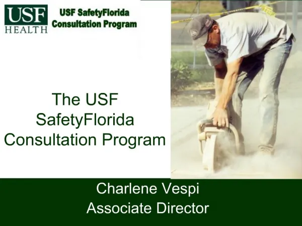 The USF SafetyFlorida Consultation Program