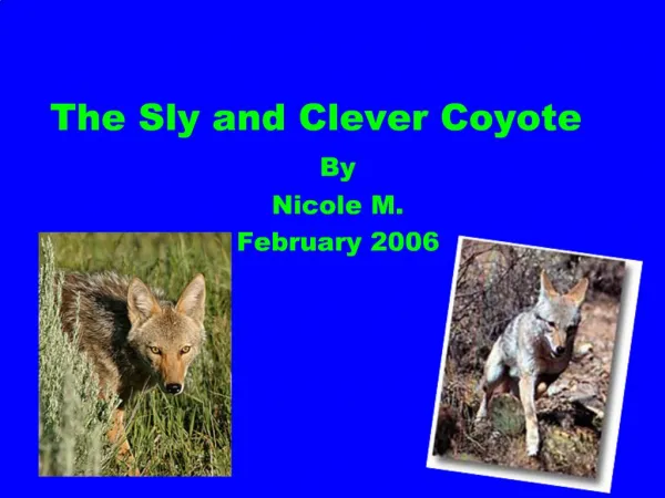 The Sly and Clever Coyote