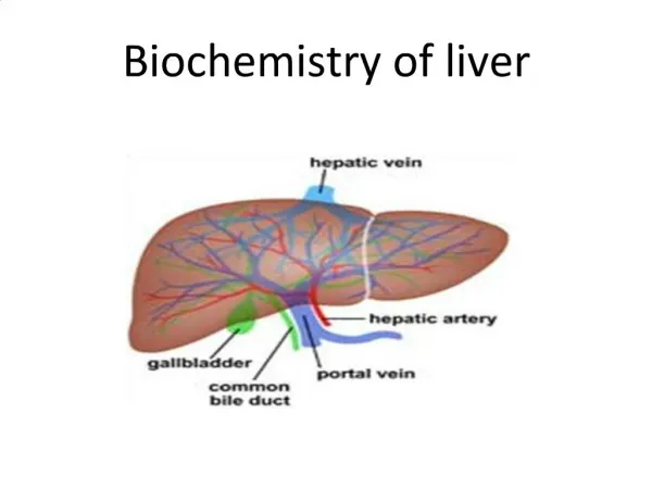 Biochemistry of liver