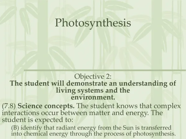 Photosynthesis