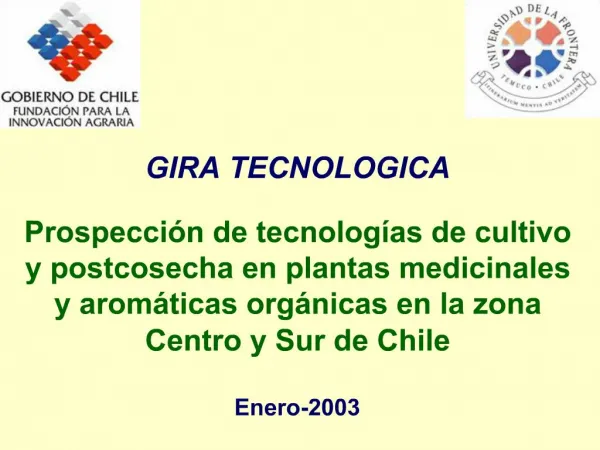 GIRA TECNOLOGICA Prospecci n de tecnolog as de cultivo y postcosecha en plantas medicinales y arom ticas org nicas en