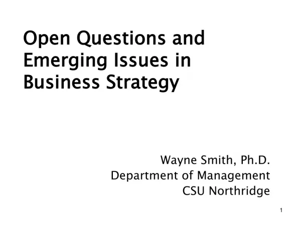 Open Questions and Emerging Issues in Business Strategy