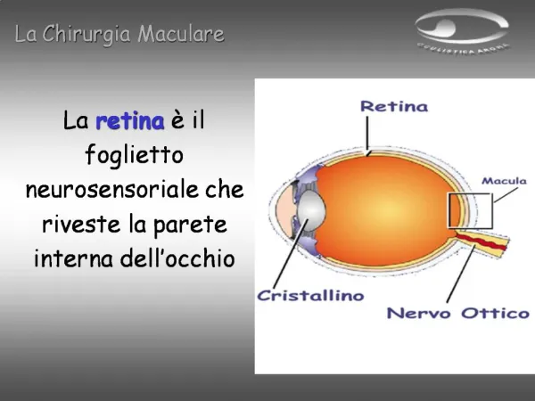 La retina il foglietto neurosensoriale che riveste la parete interna dell occhio