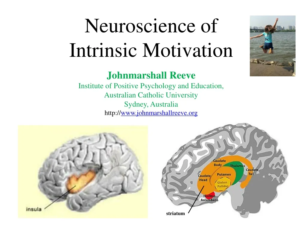 neuroscience of intrinsic motivation johnmarshall