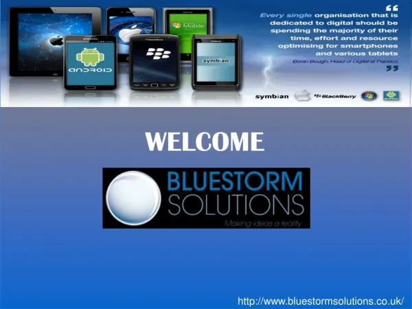 Blue Storm Solutions LTD