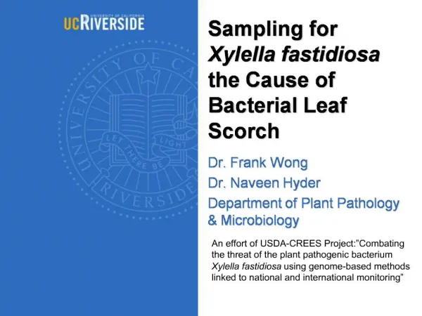 Sampling for Xylella fastidiosa the Cause of Bacterial Leaf Scorch