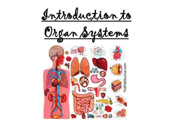 Introduction to Organ Systems