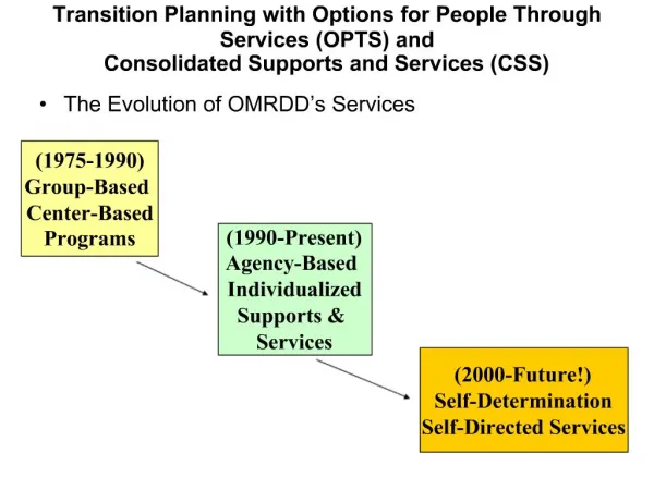 Transition Planning with Options for People Through Services OPTS and Consolidated Supports and Services CSS