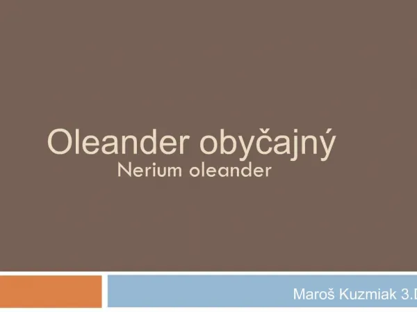 Oleander obycajn Nerium oleander