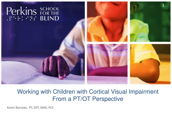 Working with Children with Cortical Visual Impairment From a PT/OT Perspective