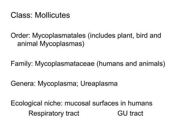 Class: Mollicutes Order: Mycoplasmatales includes plant, bird and animal Mycoplasmas Family: Mycoplasmataceae humans a