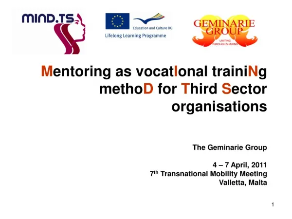 Mentoring as vocatIonal trainiNg methoD for Third Sector organisations