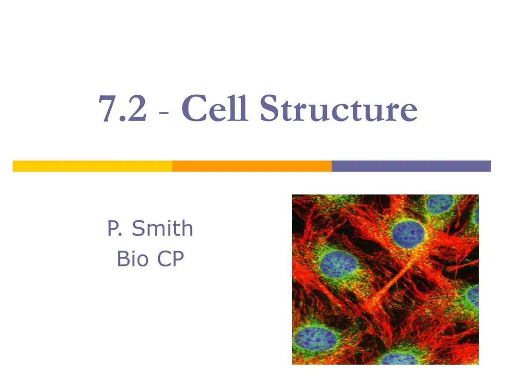 7 2 cell structure